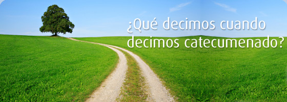 catequesis y comunicación