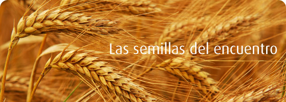 Nuestro modo de ser