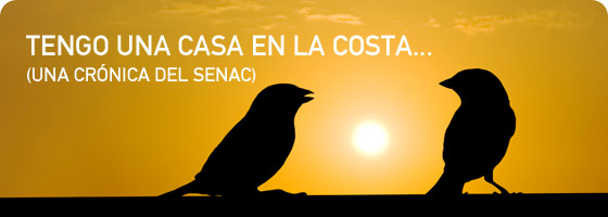 Cr&oacute;nica del SENAC