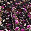 Sínodo de la nueva evangelización