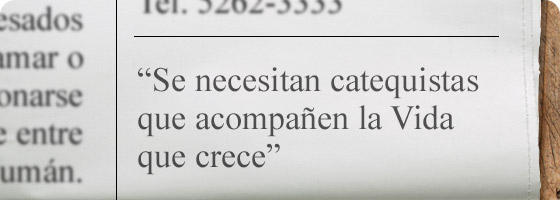 Se necesitan catequistas que acompañen la Vida que crece